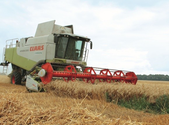 До­гляд за посіва­ми пше­ниці ози­мої в пізні фа­зи ве­ге­тації фото, ілюстрація