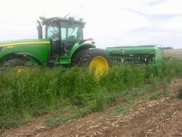 Поєднання no-till  та покривних культур накопичує органічну  речовину в ґрунті  та скорочує витрати фото, ілюстрація