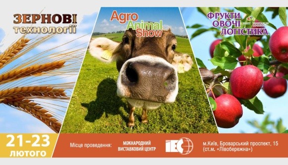 21-23 февраля в Киеве пройдет выставка "Зерновые технологии" фото, иллюстрация