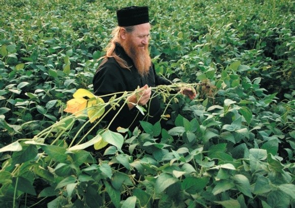 Опыт организации органического производство в Украине  фото, иллюстрация