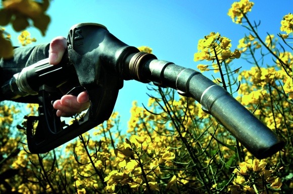 По­тенційні мож­ли­вості Ук­раїни у на­ро­щу­ванні ви­роб­ництва біоди­зе­ля фото, ілюстрація
