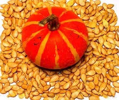 Прибуткове гарбузове насіння: вирощування гарбуза на насіння фото, ілюстрація