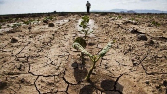 «Голос фермера»: 77 % українських агровиробників відчувають значний вплив зміни клімату на їхні господарства фото, ілюстрація