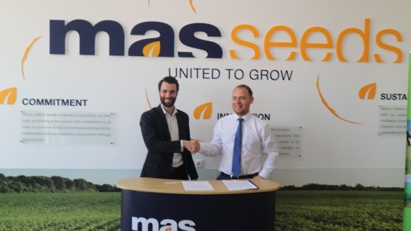 Партнерство з TARANIS забезпечить клієнтам MAS Seeds додатково 20 ц/га кукурудзи або 7 ц/га соняшника фото, ілюстрація