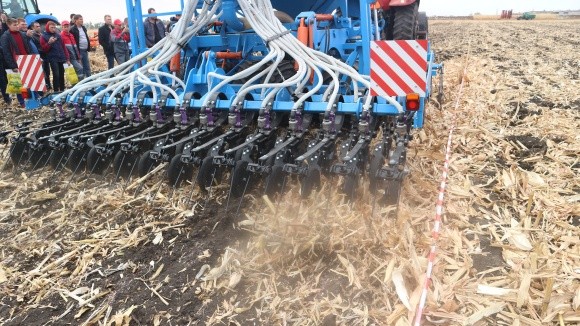 Строки висівання озимої пшениці залежно від попередників фото, ілюстрація
