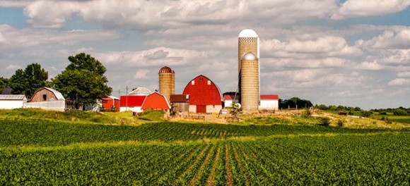 Як господарюється фермерам в Айові фото, ілюстрація