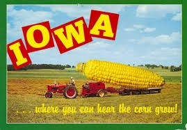 Секрети вирощування кукурудзи в Айові фото, ілюстрація