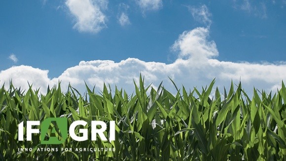 МайкроСорч Плюс Кукурудза від IFAGRI. Обов’язковий елемент технології  вирощування кукурудзи у сезоні 2023 р. фото, ілюстрація