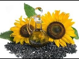 Що слід знати, щоб якісну соняшникову олію мати фото, ілюстрація