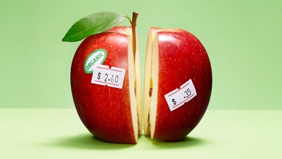 Сорти яблук для органічного садівництва фото, ілюстрація