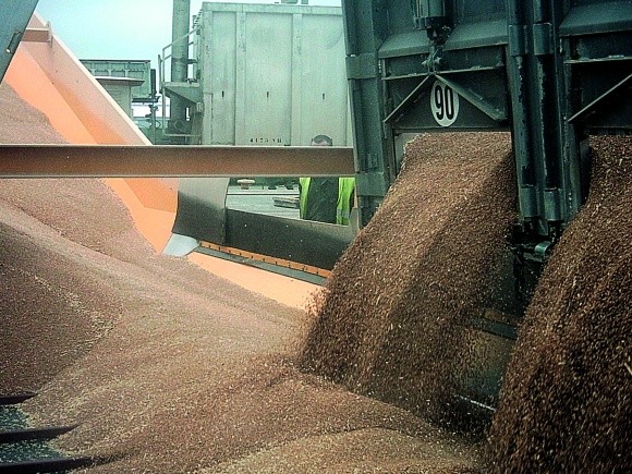 Логістика експорту зерна в Україні фото, ілюстрація