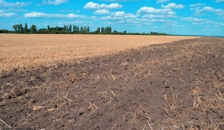 Удобрення кукурудзи на еродованих ґрунтах фото, ілюстрація