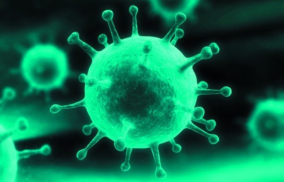 Доклад по теме Методы борьбы с вирусами