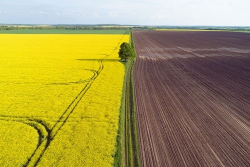 60% голів ОТГ та сільських рад підтримують запровадження обігу земель, - Міністерство економіки фото, ілюстрація