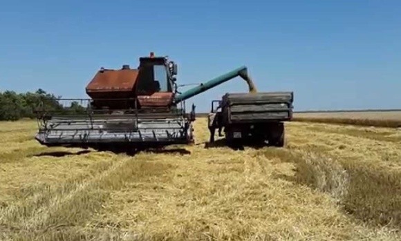 Жнива-2018: українські аграрії зібрали понад 8 млн тонн зерна фото, ілюстрація