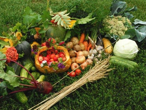 «УкрАгроКонсалт» дав прогноз врожайності на нинішній рік фото, ілюстрація