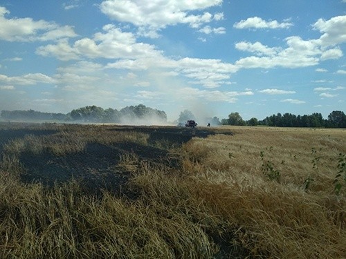 У Київській області загорівся автомобіль і спровокував пожежу на полі фото, ілюстрація