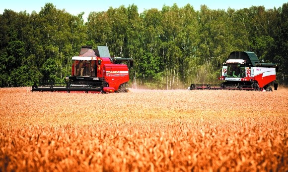 Виробництво зернових в ЄС зросте фото, ілюстрація