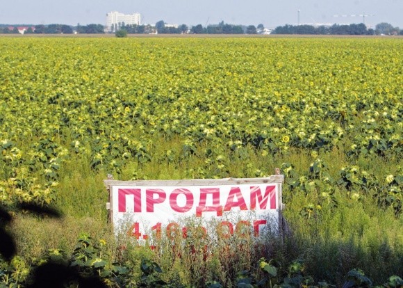 ЄСПЛ заявляє, що  заборона на продаж землі в Україні порушує права власників  фото, ілюстрація