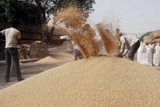 Питання про введення обмежень на експорт зерна не розглядається, - Мартинюк фото, ілюстрація