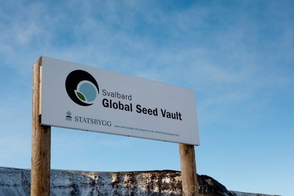 Всесвітній банк насіння опинився під загрозою фото, ілюстрація