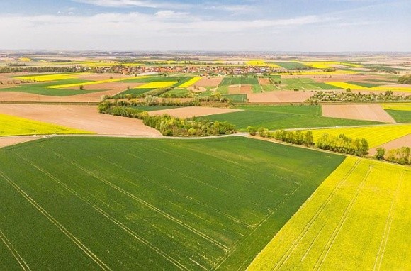 Земельний банк: провели ще 25 аукціонів на суму 27,2 млн грн фото, ілюстрація