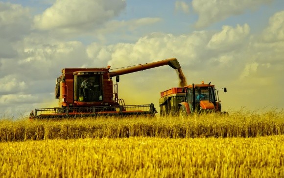Світове виробництво зерна в 2018 році буде найнижчим за останні три роки, - ФАО фото, ілюстрація