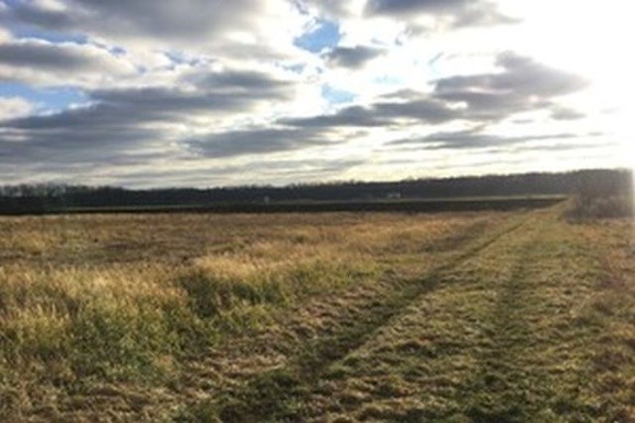 У Національної академії аграрних наук забрали 100 000 га землі фото, ілюстрація