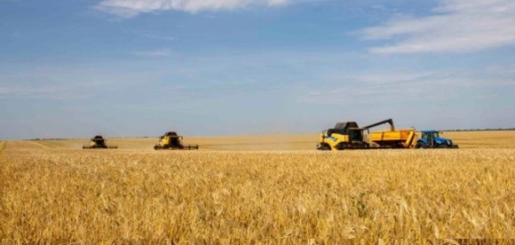 В Україні вже намолотили майже 100 тис. тонн зерна нового врожаю фото, иллюстрация