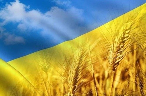 Відвантаження українського зерна з початку 2019/20 МР перевищили 5 млн тон фото, ілюстрація