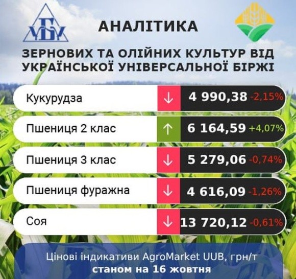 Цінові індикативи зернових та олійних за 10-16 жовтня фото, ілюстрація