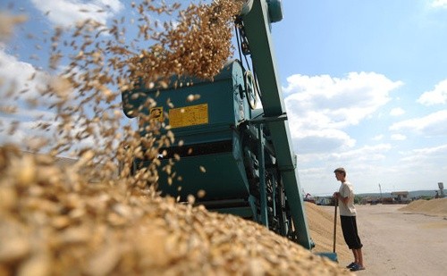 Зростання сільгоспвиробництва в Україні в січні склав 3%, - Держстат фото, ілюстрація