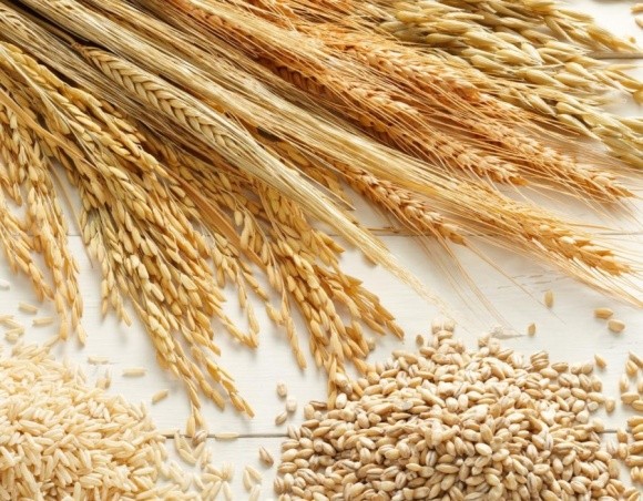 Урожай зерна в Україні буде нижче, ніж у 2016 і 2017 роках, - президент Асоціації землевласників і фермерів фото, ілюстрація