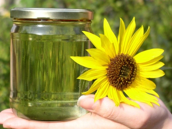 Український виробник соняшникової олії виходить на американський ринок фото, ілюстрація