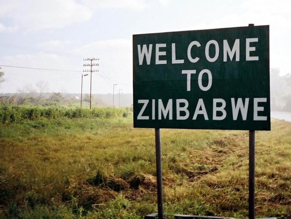 Банки Зимбабве обязали брать в залог коров. И не только фото, иллюстрация