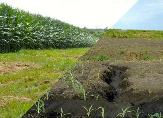 Через істотну ерозію ґрунтів українські аграрії втрачають третину прибутків - Гадзало фото, ілюстрація