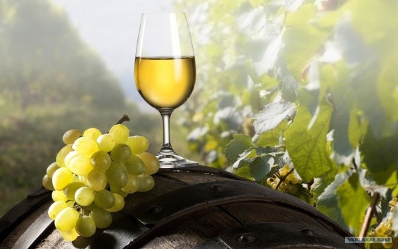 Україна продовжила санкції для кримських виноробних і агропідприємств фото, ілюстрація