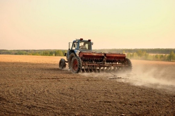 В Україні найбільш вигідно займатися сільським господарством -Держстат фото, ілюстрація