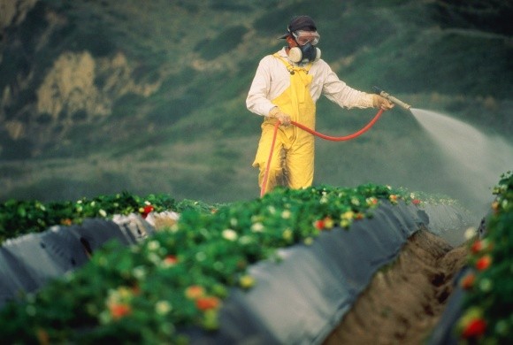 17 країн підписали заяву про безпечне застосування пестицидів фото, ілюстрація