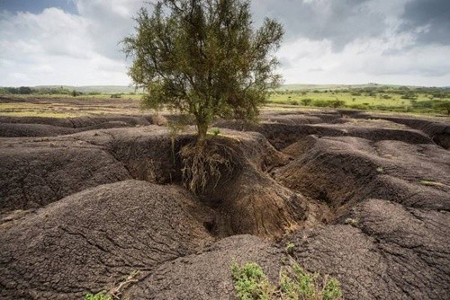 Врятуємо наші ґрунти: пошук шляхів боротьби з ерозією фото, ілюстрація