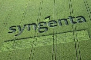 Syngenta інвестувала $ 240 млн в заводи Бразилії та Швейцарії  фото, ілюстрація