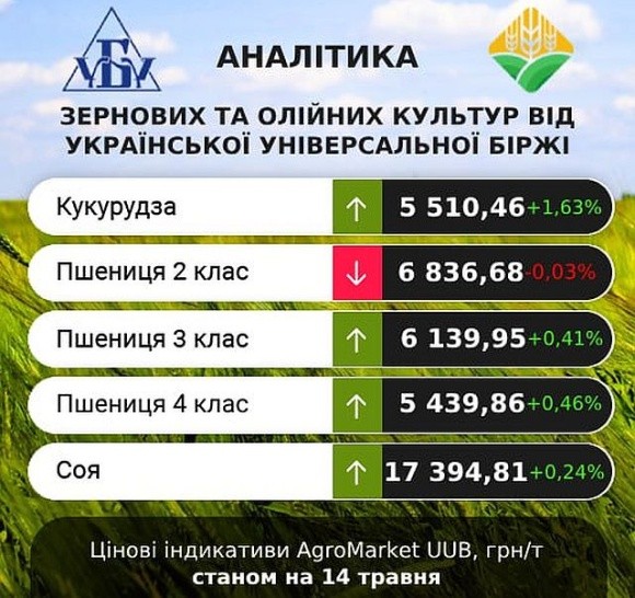 Погодні умови на росії та в Чорноморському регіоні сприяли спекулятивному росту цін на зернові фото, ілюстрація
