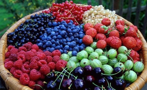 Названі найпопулярніші органічні ягоди фото, ілюстрація