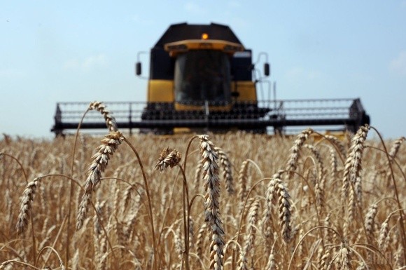 Державна зернова корпорація втричі збільшила авансові платежі аграріям фото, ілюстрація