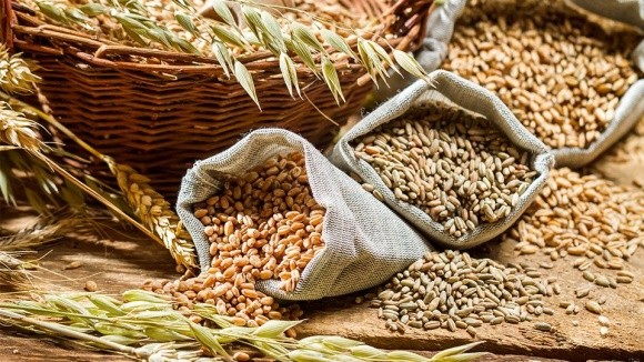 «Аграрний фонд» законтрактував 666 тис. тонн зернових на 2,9 млрд грн фото, ілюстрація