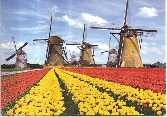 Голландці можуть подвоїти врожайність на українських полях, - посол фото, ілюстрація