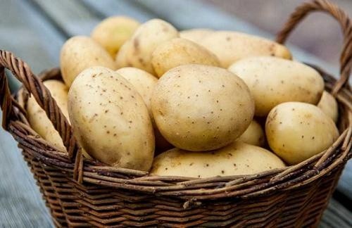 Ціна на картоплю в Україні найвища не тільки в Європі, але і у всій Євразії фото, ілюстрація