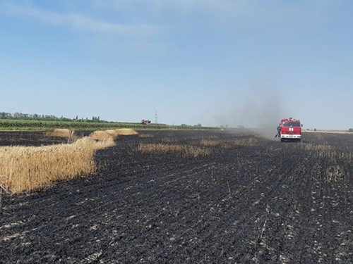 Миколаївська область: рятувальники ліквідували пожежу зернових культур фото, ілюстрація