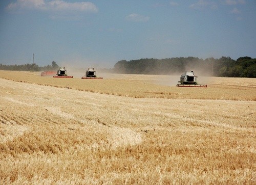В Україні за чотири місяці зростання сільгоспвиробництва склало 2.3%, - Держстат фото, ілюстрація