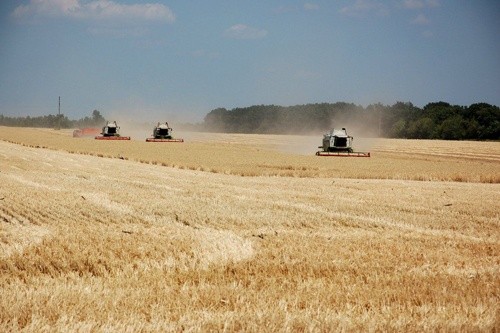 Аграрії Полтавської області завершили збирання ранніх зернових та зернобобових культур фото, ілюстрація